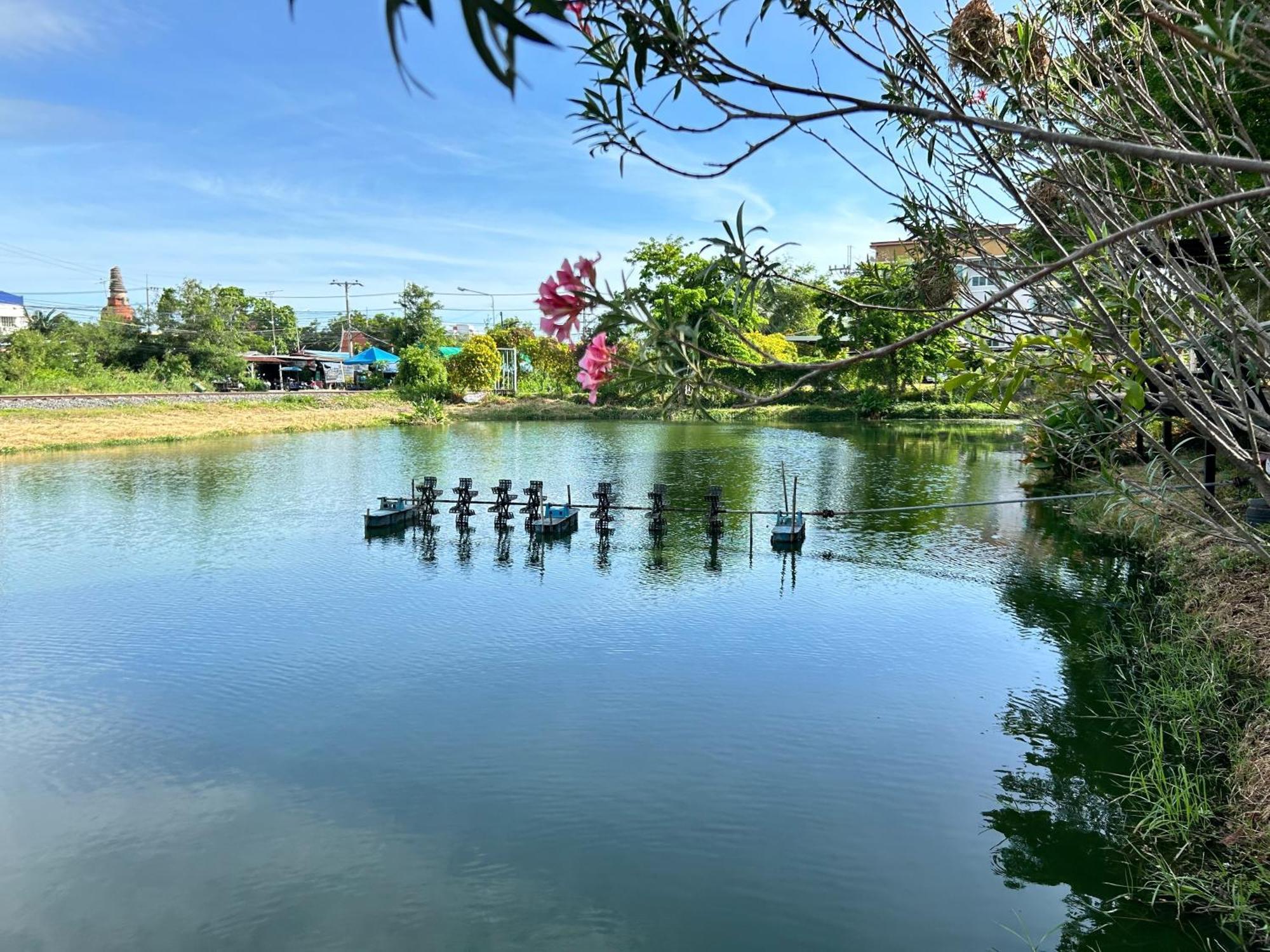 Dd Boutique Resort Ban Wat Pa Экстерьер фото